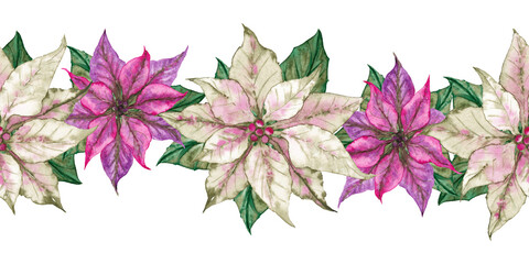 Seamless border of poinsettia white and pink flowers and green leaves. Christmas floral decor. Watercolor hand painted isolated element on white background. - obrazy, fototapety, plakaty