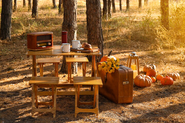 Table with chairs and autumn decor for romantic picnic in forest