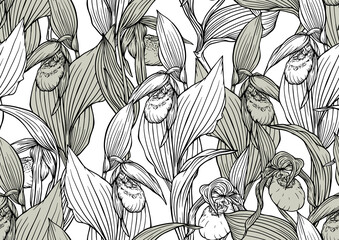 Lady's slipper orchid, Cypripedioideae, Seamless pattern, background. Outline vector illustration. In botanical style 