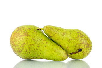 Two ripe sweet pears, close-up, isolated on white.