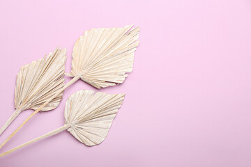 Beautiful dried flowers on pink background, closeup