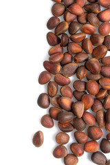 pine nuts isolated on white background