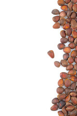 pine nuts isolated on white background