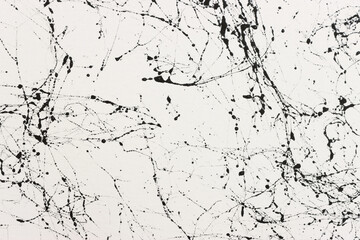 abstract art photography white background painting with black veins texture