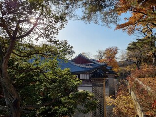 Palace of Korea at Autumn (Changgyeonggung)