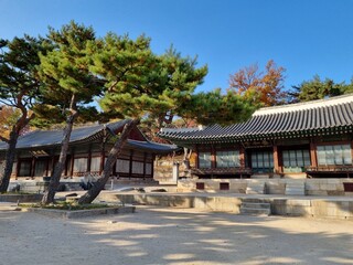 Obraz premium Palace of Korea at Autumn (Changgyeonggung)