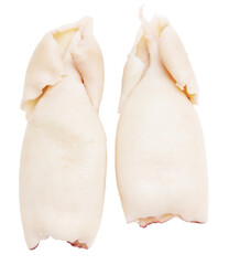 Squid isolated on a white background.