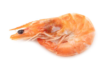 Red shrimp isolated on a white background.