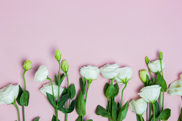 White roses over the pink background with copy space.