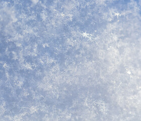 Close up of snowflakes as background.