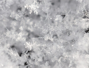 Close up of snowflakes as background.