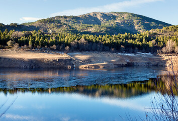 Hielo en el Embalse del Vado y pinares. Guadalajara. España. Europa.
