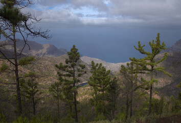 Gran Canaria, landscape of the central montainous part of the island, Las Cumbres, ie The Summits,
hiking route to Altavista, aboriginal name Azaenegue, mountain in Artenara municipality