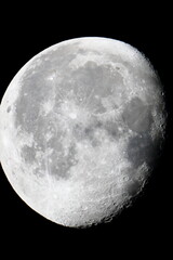 Naklejka premium Moon