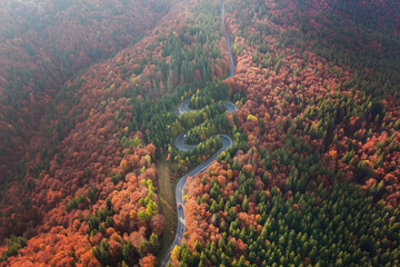 Aerial view of the mountain road in a beautiful pine and deciduous forest