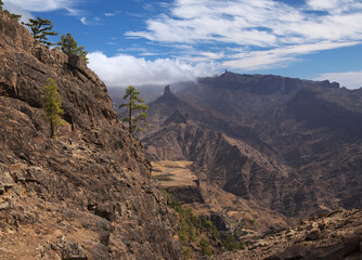 Gran Canaria, landscape of the central montainous part of the island, Las Cumbres, ie The Summits,
hiking route to Altavista, aboriginal name Azaenegue, mountain in Artenara municipality