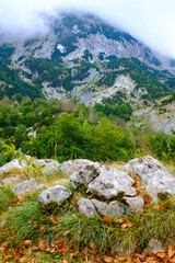 National park Durmitor Mouintains in Montenegro.
