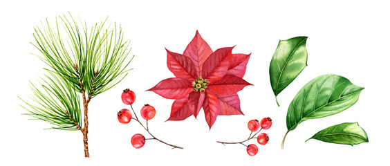 Christmas florals collection. Watercolor red berries, poinsettia flower, pine branches, holly leaves. Hand painted illustration for winter holiday season, greeting cards, banners, calendars