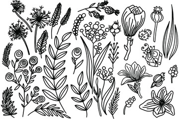 Vector black and white set of plants, flowers, twigs and berries. Drawn by hands.