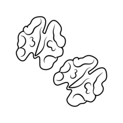 Walnut, silhouette, badge. Vector linear illustration isolated on a white background for website design of products, applications, printing