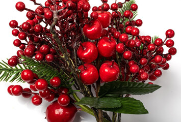 Christmas Branch with Red Berries