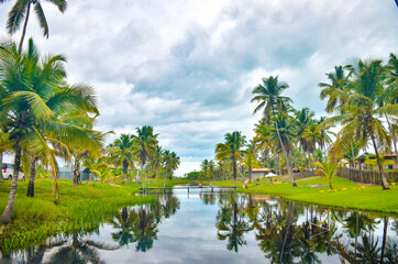 Obraz premium A beautiful view of Ilheus Beach in Bahia, Brazil.
