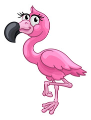 Pink Flamingo Bird Animal Cartoon Illustration