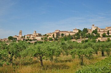 Fototapeta na wymiar Spello, antico borgo dell'Umbria - panorama