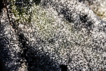 Beautiful frost on the grass