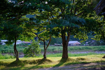 公園