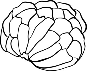 Vector hand drawn set of cherimoya. Sugar apple illustration. Delicious tropical vegetarian objects. Use for restaurant, menu, smoothie bowl, market, store, party decoration, meal.