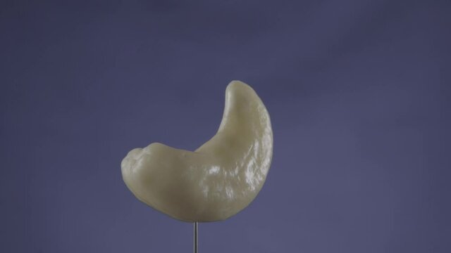 Cashew rotating with loop on blue screen for chroma key