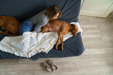 Woman gently touching dog belly lying with animals on couch in living room at home. Poor vizsla...