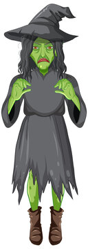 Green old witch character on white background