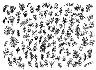 a set of twigs with leaves, hand-drawn in the style of a doodle. large collection of plant texture twigs with leaves dots curls black outline on white background for design template
