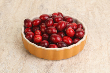 Ripe sweet tasty cranberry in the bowl
