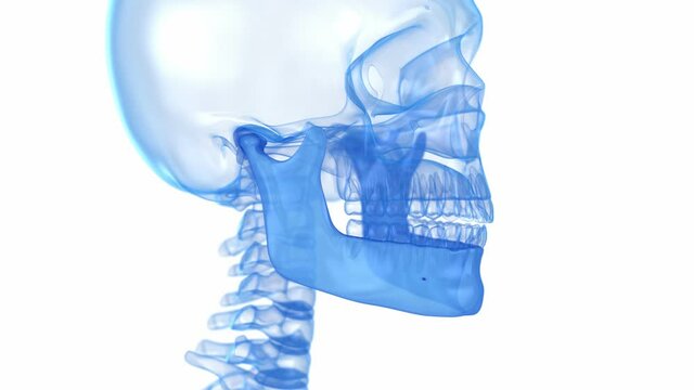 Temporomandibular joint problem. Medically accurate 3D animation