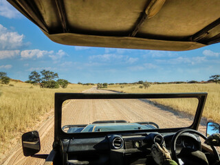 safari vehicle © poco_bw