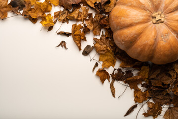 potiron sur fond blanc avec feuilles