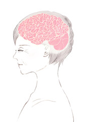 シニア女性と脳のアナログイラスト