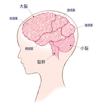 ビジュアル脳神経外科 1 前頭葉・頭頂葉 メジカルビュー社｜脳神経外科｜ビジュアル脳神経外科 1 前頭葉・頭頂葉