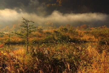 岩手県奥州市　紅葉の奥州湖