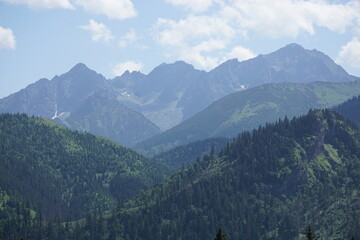 Tatry wysokie widok na zielone szczyty © Piotrek J.