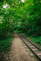 Fototapeta na wymiar old railway in a nice green forest