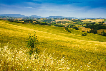 Rural landscape along the road from Fano to Mondavio, Marche