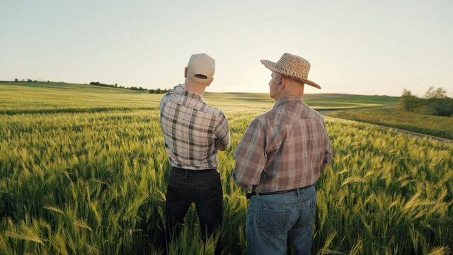 Two farmers are standing in the middle of a field and talking about the harvest. They are pointing to the field with their hands. The camera is moving from left to right. Sunset in the background. 4K