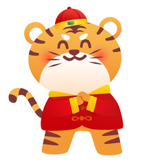 Year of the tiger, tiger, 2022, new year, year of China, new year's Eve, new year's day, joy, excitement, carnival, colored eggs, celebration, happiness, fun, new year, activities, festivities, Spring