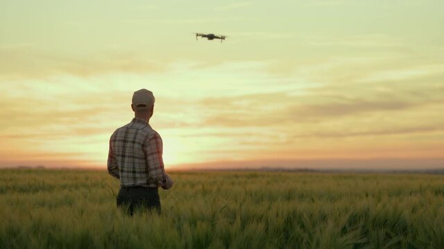 A young farmer is taking pictures of the field using a drone. He is controlling the drone and monitoring its flight. Sunset in the background. 4K