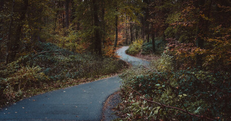 Waldweg durch das Herbstlaub