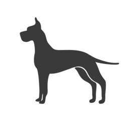 Great dane silhouette. Swiss dog pinscher group, vector icon - obrazy, fototapety, plakaty